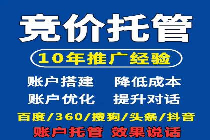 网络推广与竞价优化成功案例